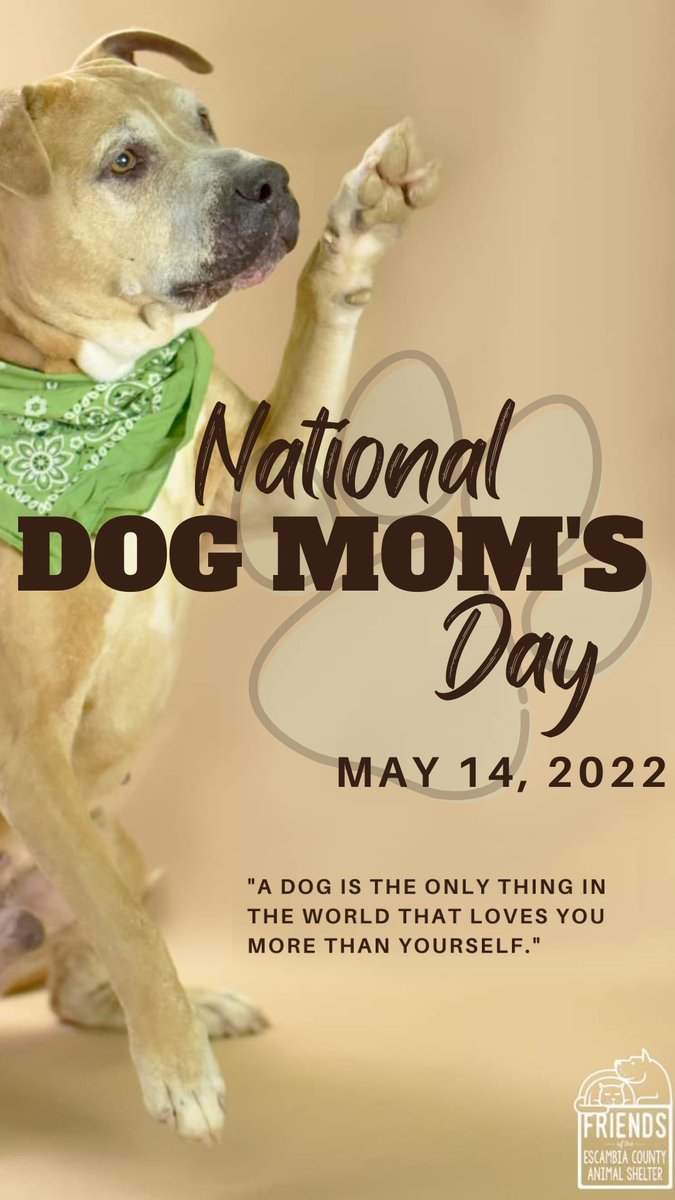 ECASFriends's tweet photo. Happy National Dog Mom's Day, Friends! Here's to hoping you and your #bestie have a pawfect day full of all of the best things about being a #DogMom 🐾💖🐾 And take a moment to share a photo of you and your pup in the comments, we'd love to see them! 😍😍😍 https://t.co/pwi8WHhGbb
