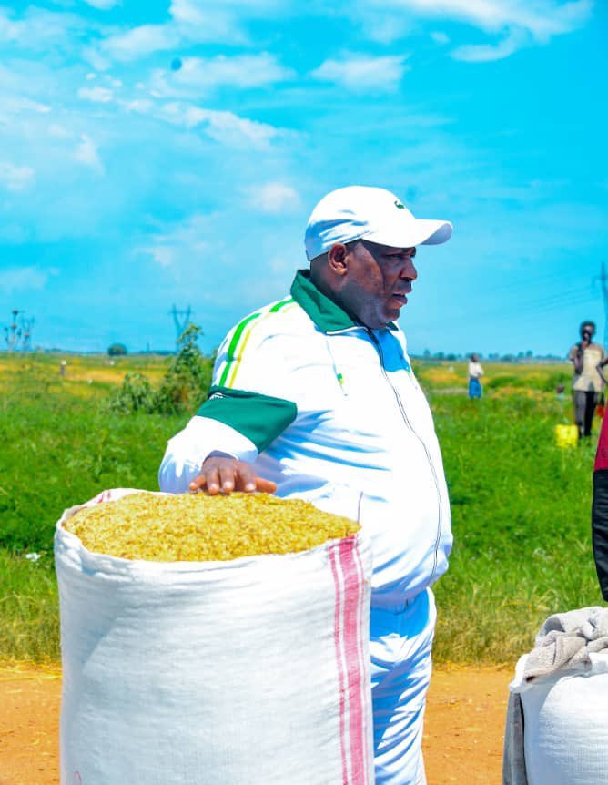 NtareHouse's tweet photo. Accompagné par SE @Burundi1stLady, le Président Evariste #Ndayishimiye a effectué une visite dans les champs rizicoles de Mugerero appartenant aux coopératives de #Gihanga @BubanzaProvince dont les premières récoltes de la saison culturale A présagent une grande productivité. https://t.co/2dzGjjQtkf