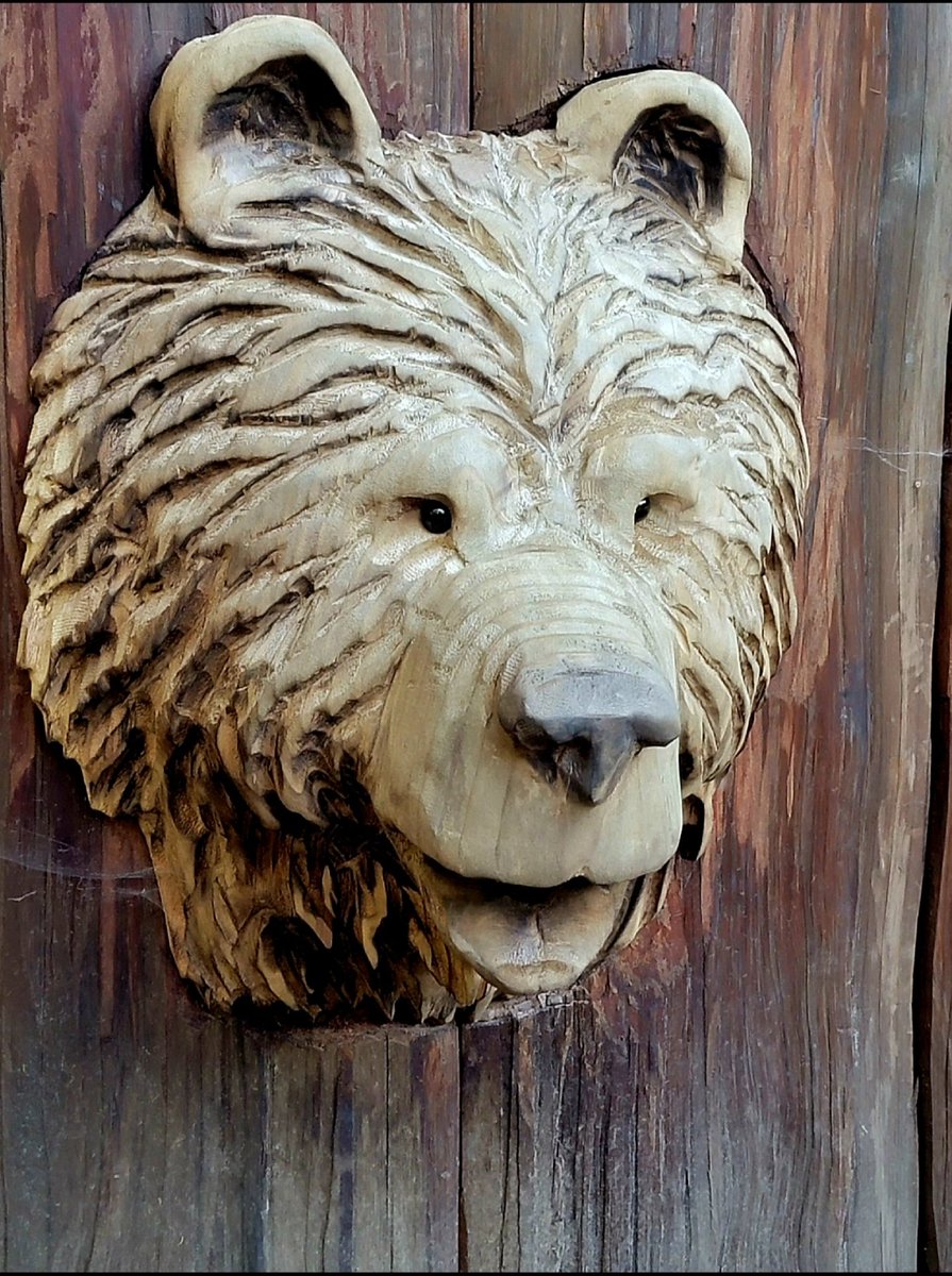 chainsaw 🎨 art
northcoast california redwood carving
#photography #chainsawart #california