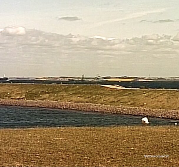 WarshipCam's tweet photo. German Navy Rhon-class replenishment oiler FGS Spessart (A1442) northbound under the Storebaelt Bridge in Denmark - May 14, 2022 #fgsspessart #a1442 https://t.co/J8sKU0QbzS