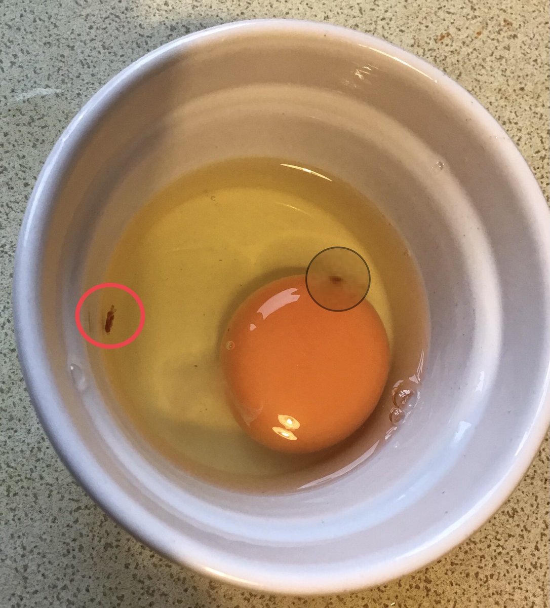 HalalTrackerUK's tweet photo. Would you eat this #egg👇

This’s why you should always check egg in a see through bowl but there’s not much awareness amongst the #halal food consumers when it comes to halal #eggs🥚 

@halal_inhart @HalalMjc @HalalGuideAU @halalinasia @halalcorner @halalSG @halal_mama 

#food https://t.co/1HzBYjcXNA