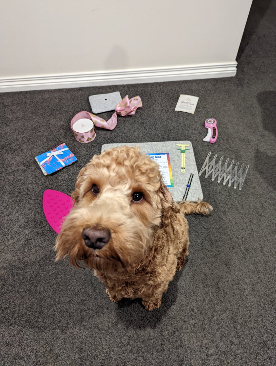 AKAT_HOME's tweet photo. @LeanneS16970068 @SINGERCO 🥰  #dogswhosew 😁 https://t.co/5RbGTUejDv