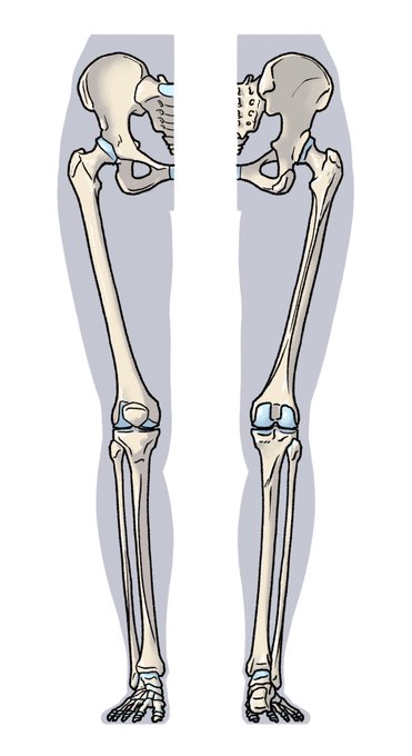 「伊豆の美術解剖学者@kato_anatomy」 illustration images(Oldest)｜3pages