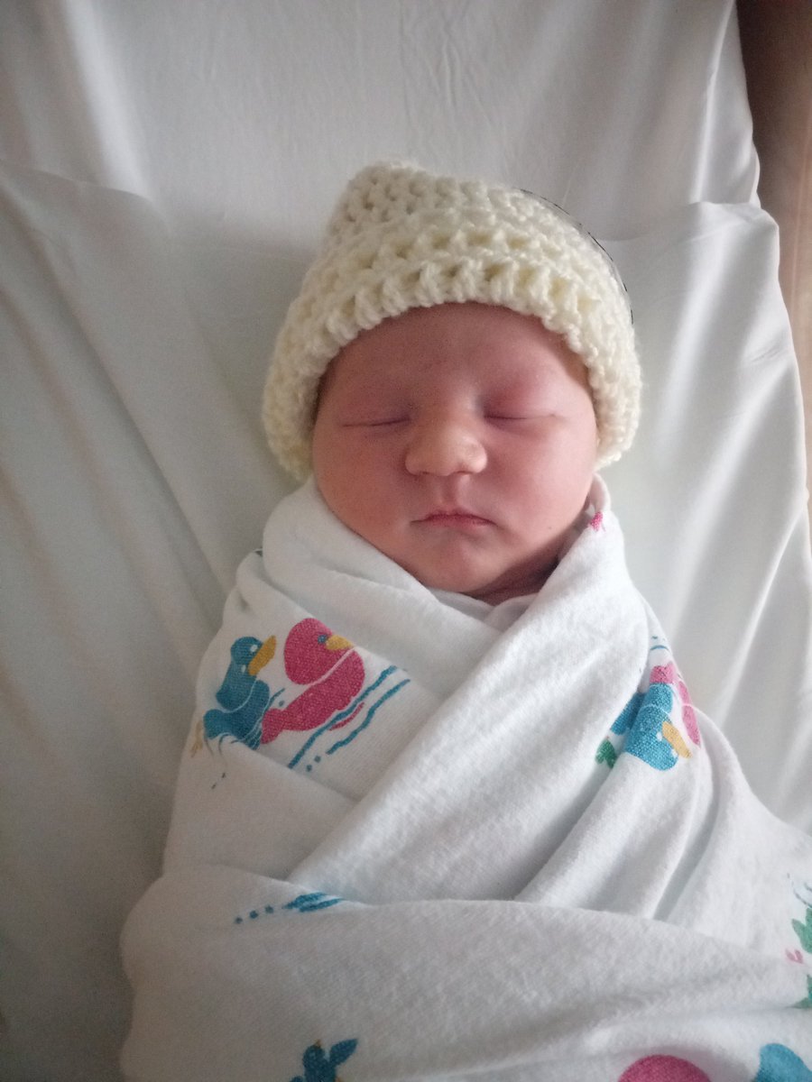 Blue Jays Athletic Training tweet media