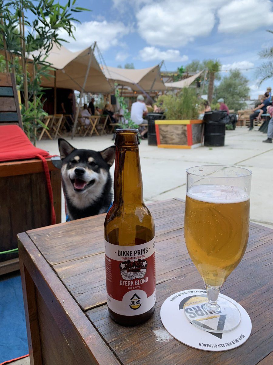 verweij_i's tweet photo. Weeeeekend #strandzuid #Arnhem #proost 🍻 https://t.co/TtYrZSmc4r