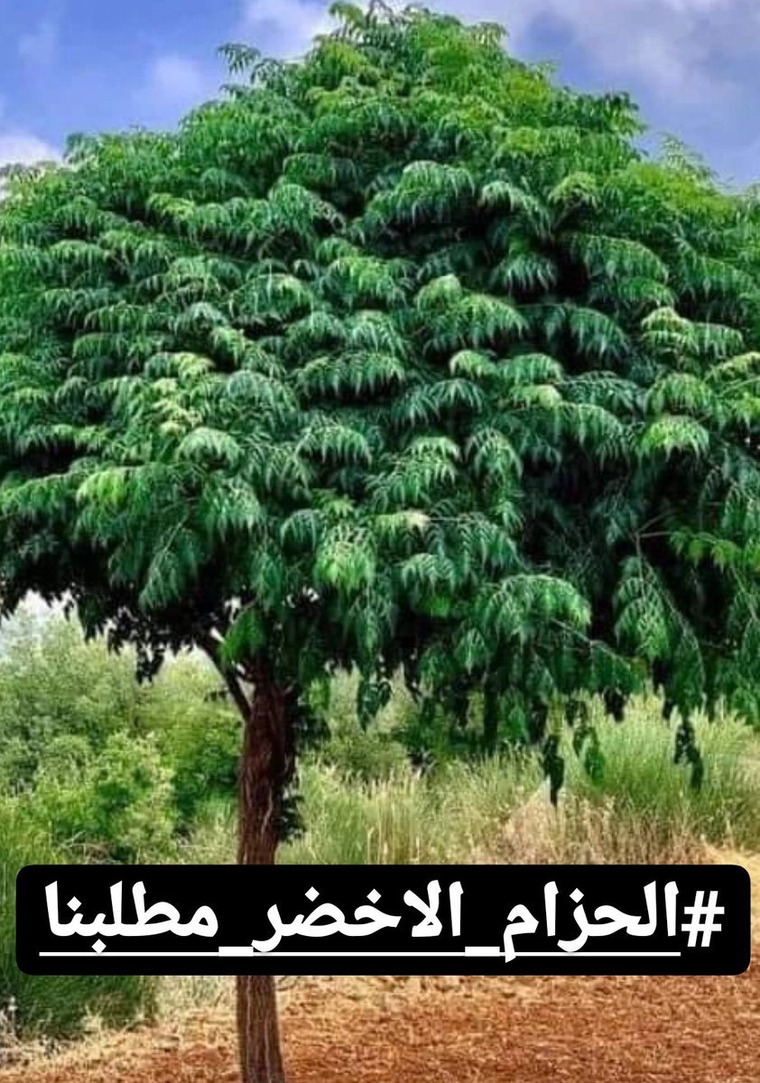 مشروع الحزام الاخضر = بيئة صحية خالية من العواصف الترابية + تشغيل الكفاءات والطاقات المهملة من الخريجين 
#الحزام_الاخضر_مطلبنا
(رابطة الخريجين القدامى في العراق برئاسة نبراس الخزعلي)