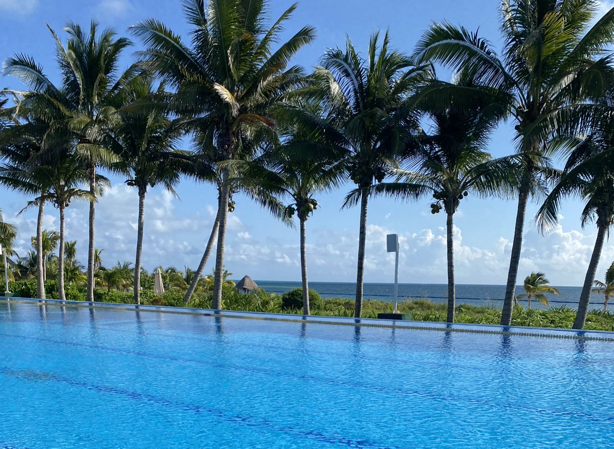 sjonas1225's tweet photo. wondering if the caribbean misses me as much as i miss it #illbback https://t.co/f39JPng79n