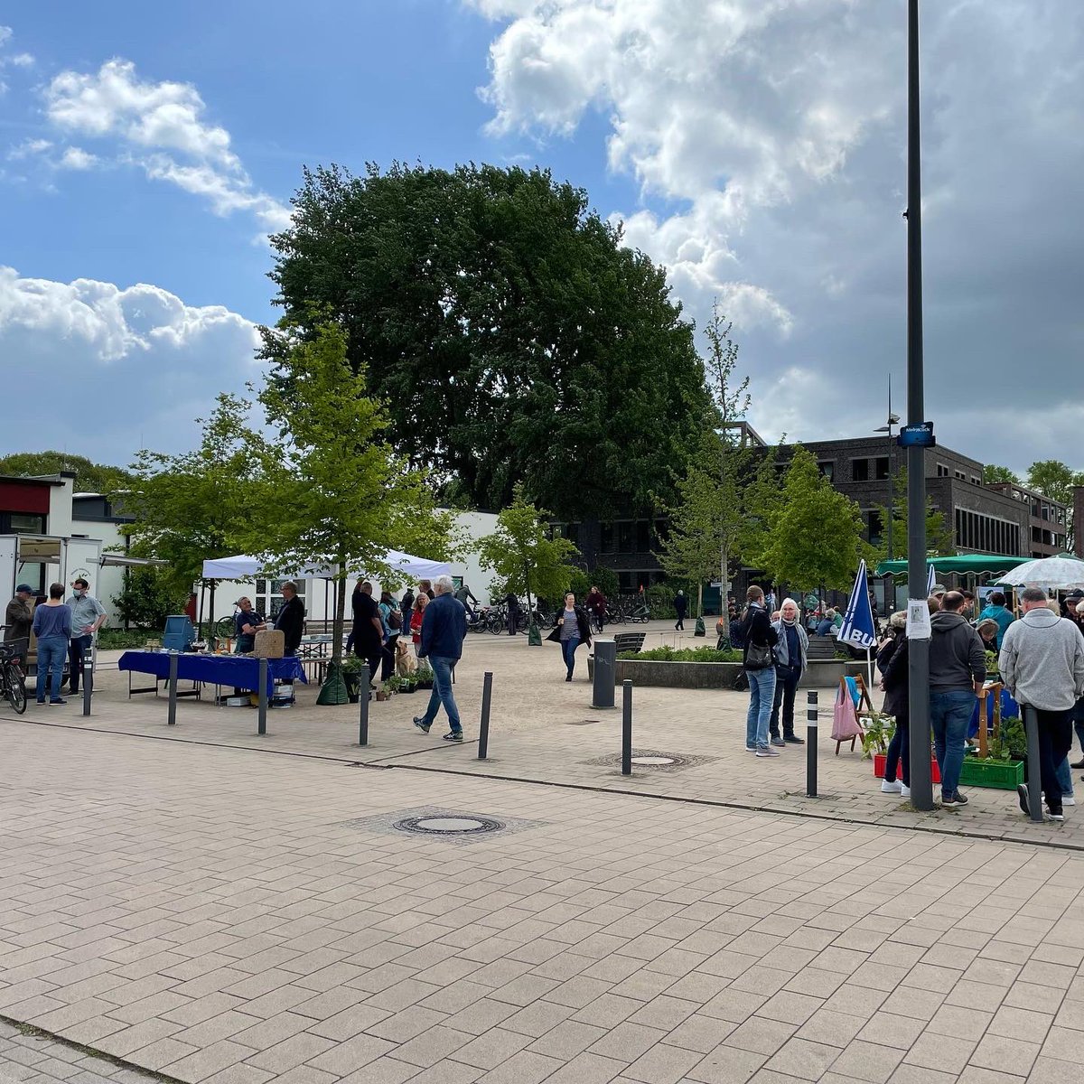 GruenHalstenbek's tweet photo. Es gibt wahnsinnig viele Themen, für die sich die Menschen begeistern, zum Beispiel für Recycling, Bienen, Schmetterlinge, den Krupunder See, ökologische Pflanzen, Wiederaufforstung, Wandern, Solarprojekte, Kampf gegen die Klimakrise, Vögel und Nistkästen, Saatgut und
2/x https://t.co/FikZOfYZoT