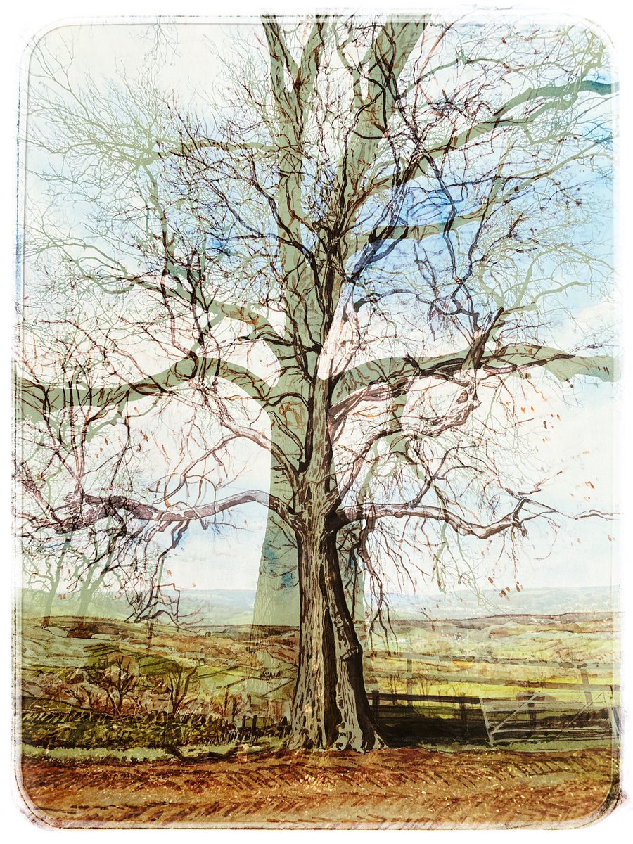 TreasuringTrees's tweet photo. Feedback: ‘We visited the exhibition a few weeks ago and loved it So many beautiful artworks in various media We enjoyed "tree spotting", working out the different locations &amp; reading the personal comments about how the trees mean so much to the people who know and love them’1/2 https://t.co/3xn2VPgc5S