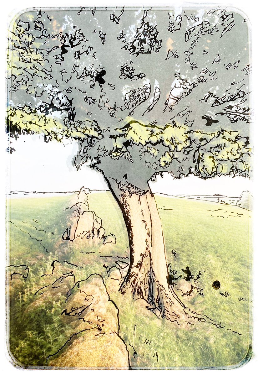 TreasuringTrees's tweet photo. Feedback: ‘We visited the exhibition a few weeks ago and loved it So many beautiful artworks in various media We enjoyed "tree spotting", working out the different locations &amp; reading the personal comments about how the trees mean so much to the people who know and love them’1/2 https://t.co/3xn2VPgc5S