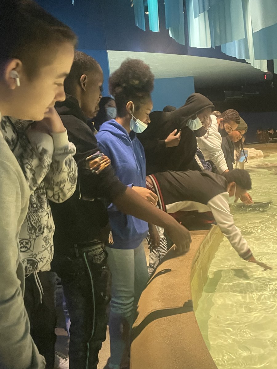 When you get to spend the day hanging out with sharks…