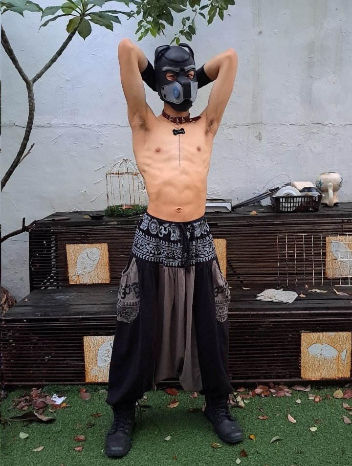 ［ 犬犬犬祭！ ］
-
謝謝
<a href="/Mapleraining/">🇹🇼楓雨</a> ㄉ專業攝影嗷😍✨！
今天是...帕比也不知道這個治裝是什麼型態（傻笑翻滾🤪
-
也謝謝來猋祭一起同樂ㄉ各位朋友們，愛你們大家！（轉圈圈✨