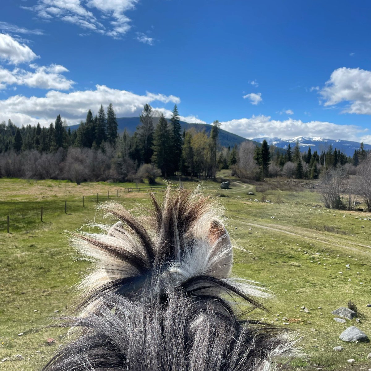 ThreeBarsRanch's tweet photo. Between the ears! The best view on the planet! #betweentheears #bestview #travelviews #exploremore #threebarsranch https://t.co/wMF3vhKhk2