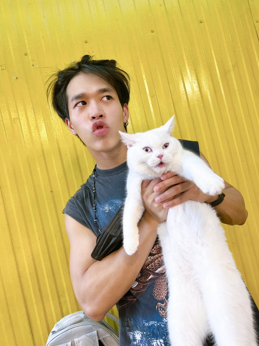 EarthET4's tweet photo. เอาที่ป๊าสบายใจ😏😜😂
#snowblueeyesthecat #earthet https://t.co/9AnQk2sUOy
