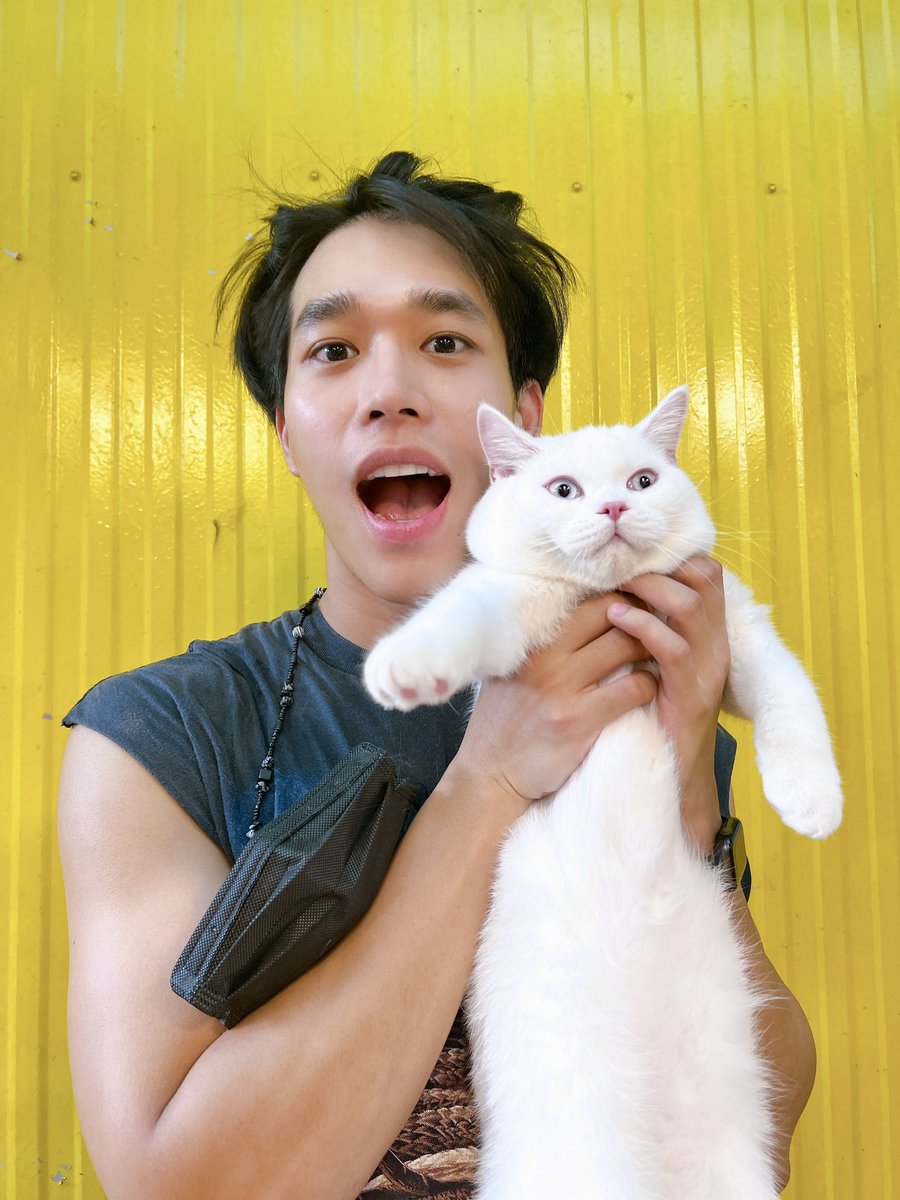 EarthET4's tweet photo. เอาที่ป๊าสบายใจ😏😜😂
#snowblueeyesthecat #earthet https://t.co/9AnQk2sUOy