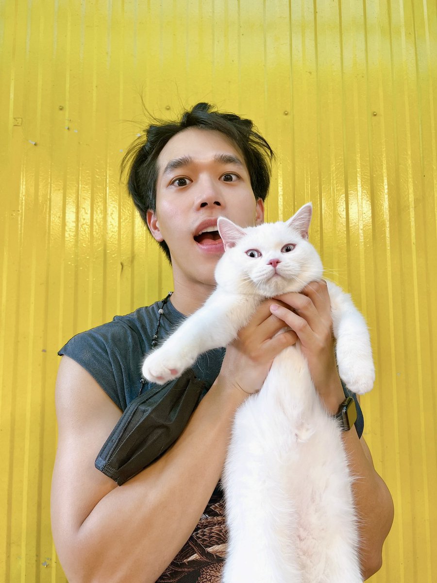 EarthET4's tweet photo. เอาที่ป๊าสบายใจ😏😜😂
#snowblueeyesthecat #earthet https://t.co/9AnQk2sUOy