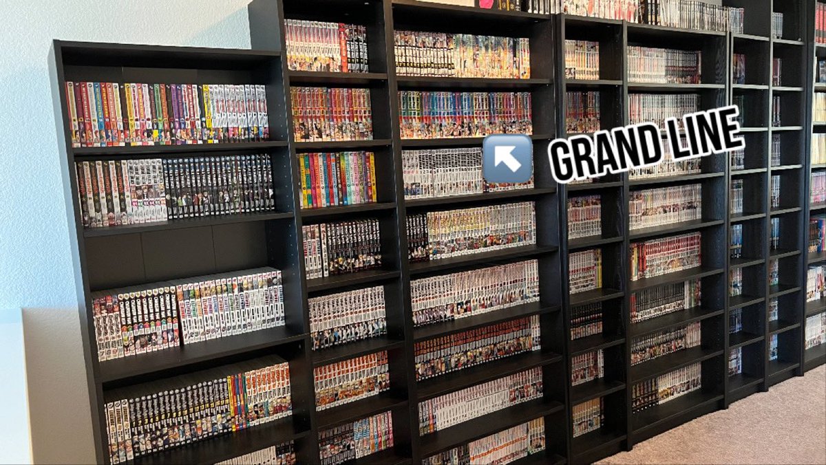 I own every volume of every series in Viz Media’s Shonen Jump line. 

I call this area of my library the “Great Wall of Shonen” and the row of One Piece is the “Grand Line”