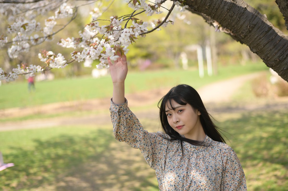 麻倉寧桜
撮影ありがとう、誕生日おめでとう
#スタジオエス 
#個撮
#桜ポートレート