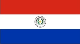 DGColectividad's tweet photo. Feliz día de la Independencia a toda la Colectividad Paraguaya! @Berretin https://t.co/WzzfS8dgbl