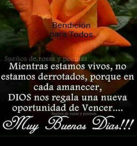 edissonadames's tweet photo. https://t.co/bhSqjtRGDR