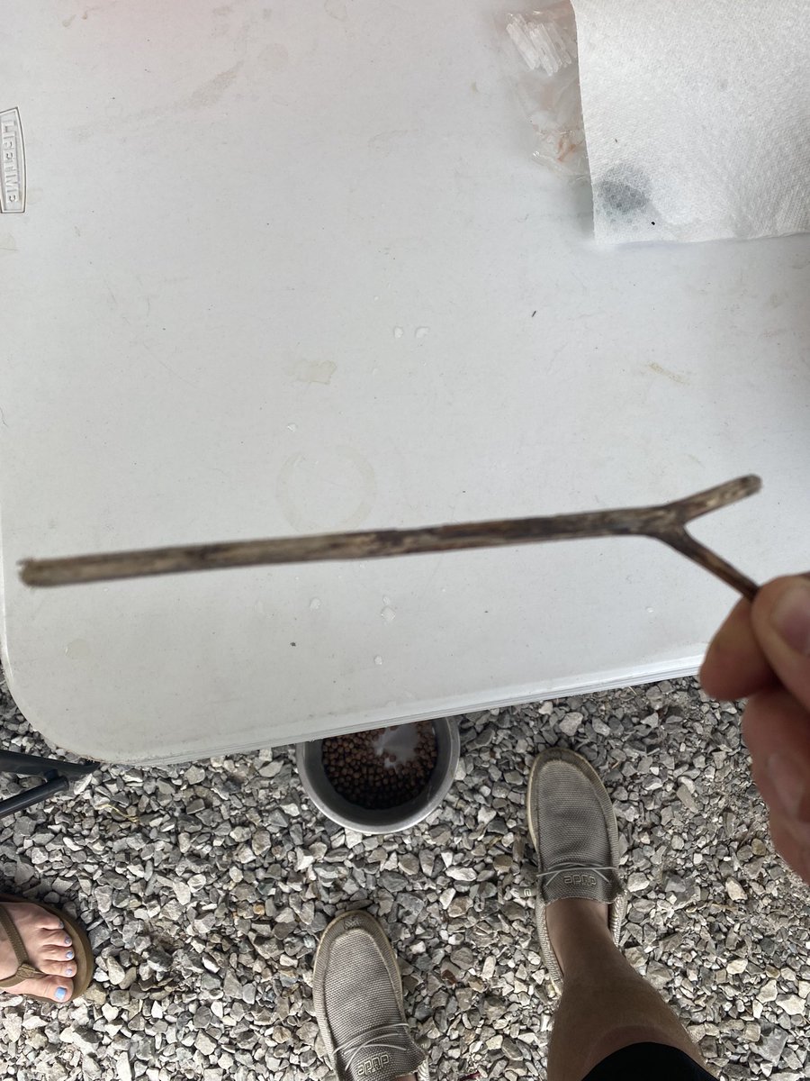 bigbadbob3838's tweet photo. All these years of searching, I found the very first gun I ever owned. Who knew it would be in a campground in Corbin. #memories #firstgun https://t.co/Dn3Frae5V3