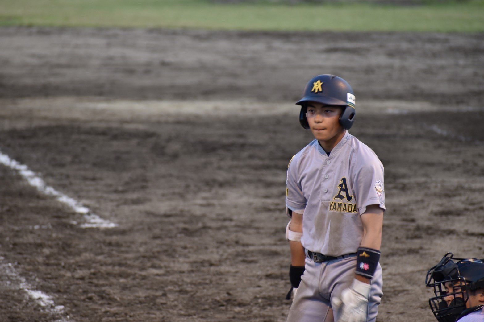 青森山田 ユニフォーム 青森山田高等学校硬式野球部ウェア 【公式通販