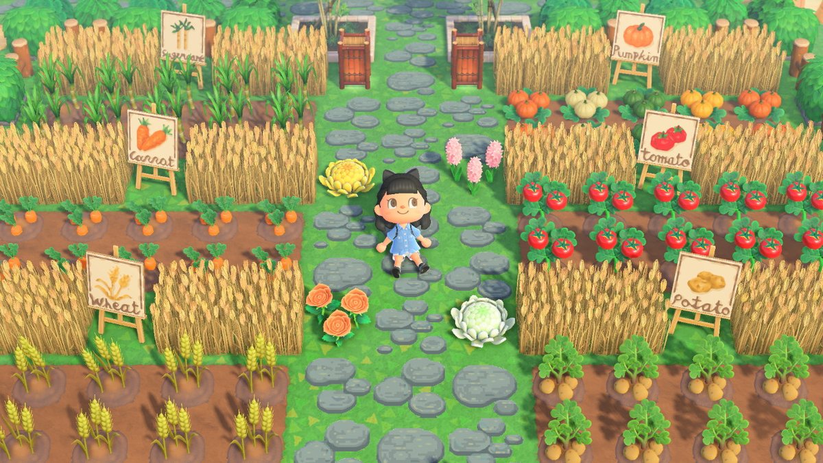 SensitiveSam98's tweet image. #AnimalCrossing #ACNH #NintendoSwitch