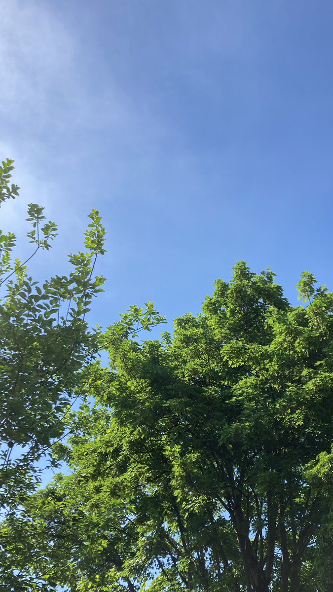 Tu te lèves, t’es reposée, il fait beau. Tu te dis déjà que ta journée a tout pour un être un beau samedi. Et puis ta meilleure amie t’envoie une photo «  Say hello to Gaspard ». Bref, un nouveau roi est né ce 14 mai 🥰