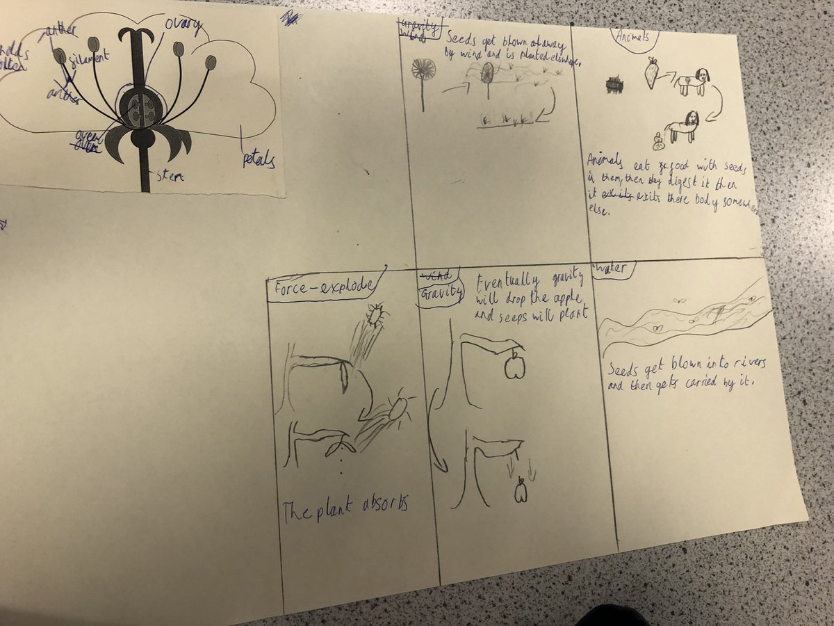 hope_science's tweet photo. Excellent work this week from @HopeClassof2025 as they finish their last topic and prepare for an assessment. We’ll done 25C1 in particular…I’m very proud of you 🥹🤩 https://t.co/jgXDMJvzcK