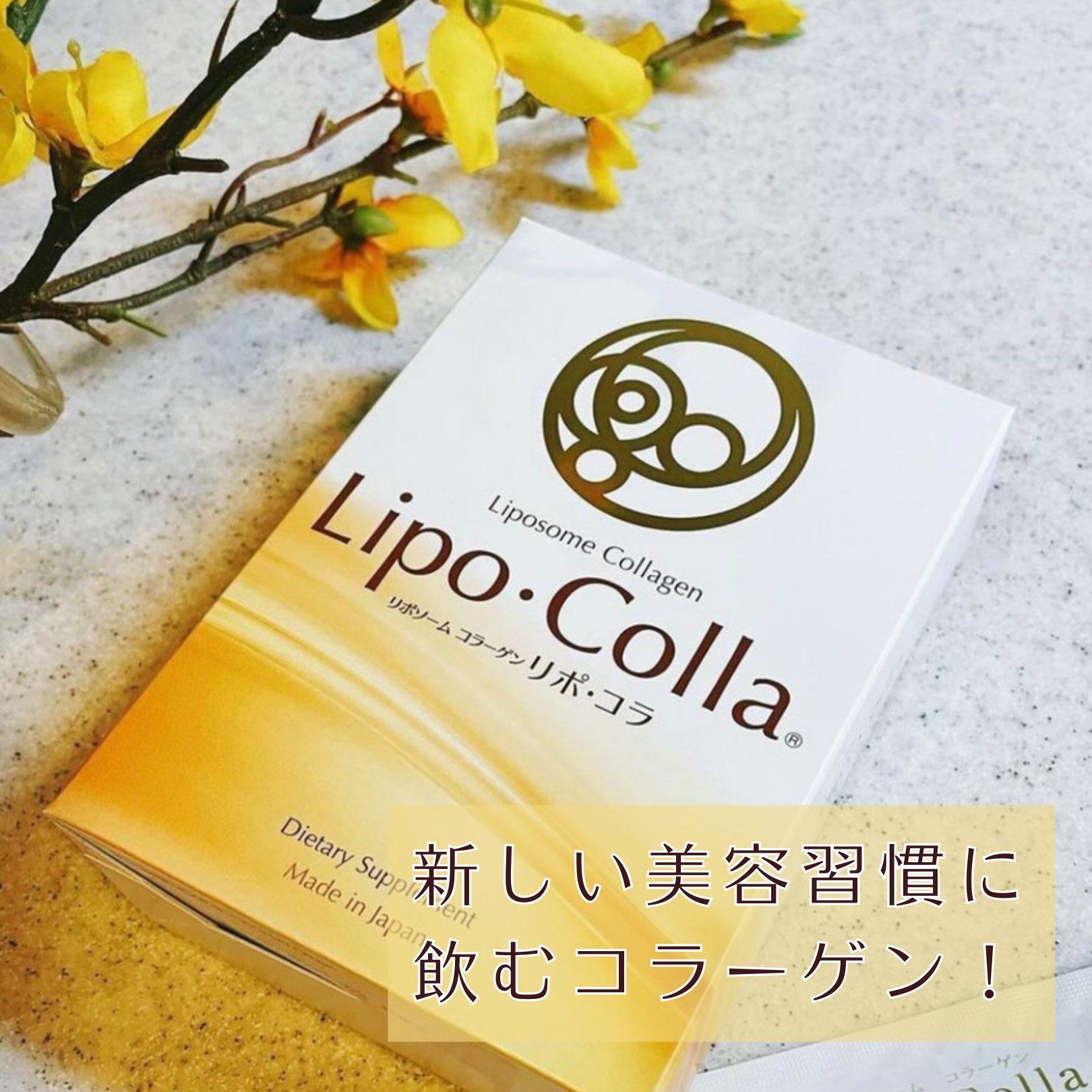 Lipo ・Colla（リポコラ公式アカウント） (@LipoBox) / X