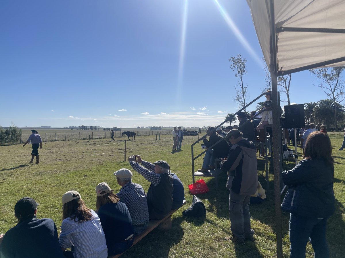 Gira Angus 2022 San José del Yaguari . Tremendo día de otoño - tremenda genética !