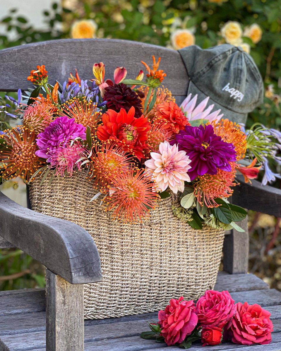 Every shade of happy 🌸🧡💙🌼
#saturdayvibes #inspiredbypetals #allthecolorsoftherainbow #fynbos #protea #rosesandmore #cagrown