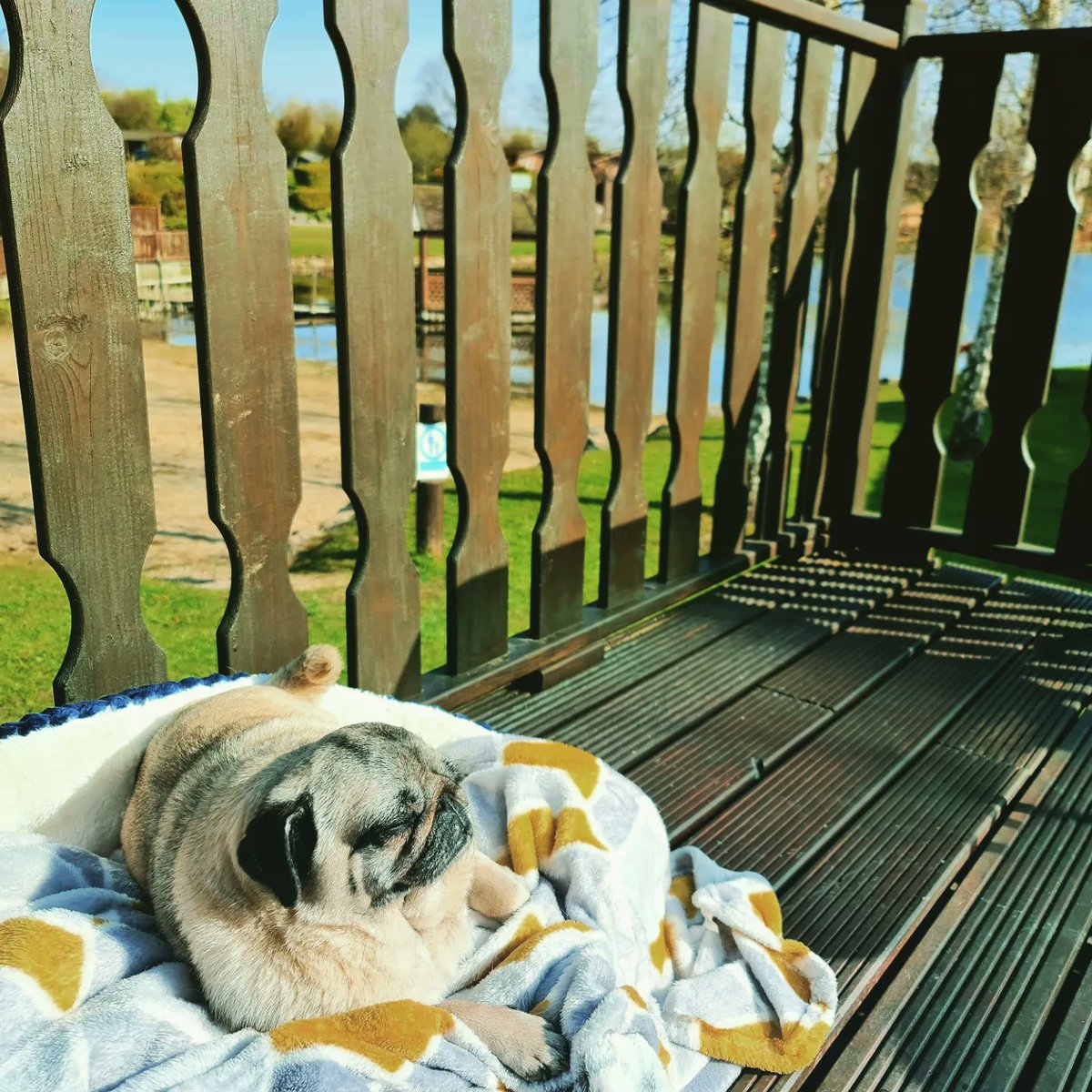 BookPackRelax's tweet photo. 🐕 You can't deny a holiday for your 4-legged family members too 🐕
 
👨‍👩‍👦‍👦👨‍👩‍👧‍👧 Oh, and we cater for upto 8 guests too 😍😅

https://t.co/VFJYNjWhiB 📧 https://t.co/SprF03iqtk