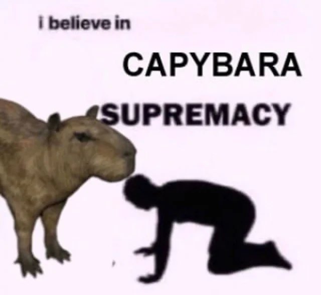 CAPYBARA_MAN's tweet image. 