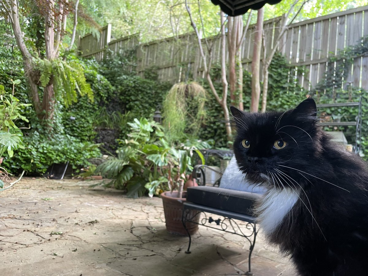 MadisonTemmel's tweet image. Back south.