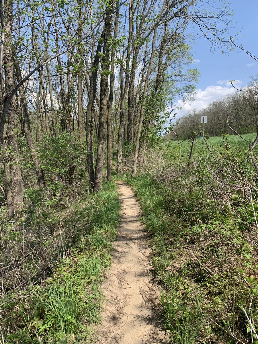 KennepohlEdward's tweet photo. Looks like the Ice Age Trail in Wisconsin is going to be great when completed. Similar to the #LSHT outside Houston, it’s broken up in different sections. The section up to Gibraltar rock was really nice.
#hiking #travel #LakeWisconsin #Wisconsin https://t.co/9SDx1nMO7v