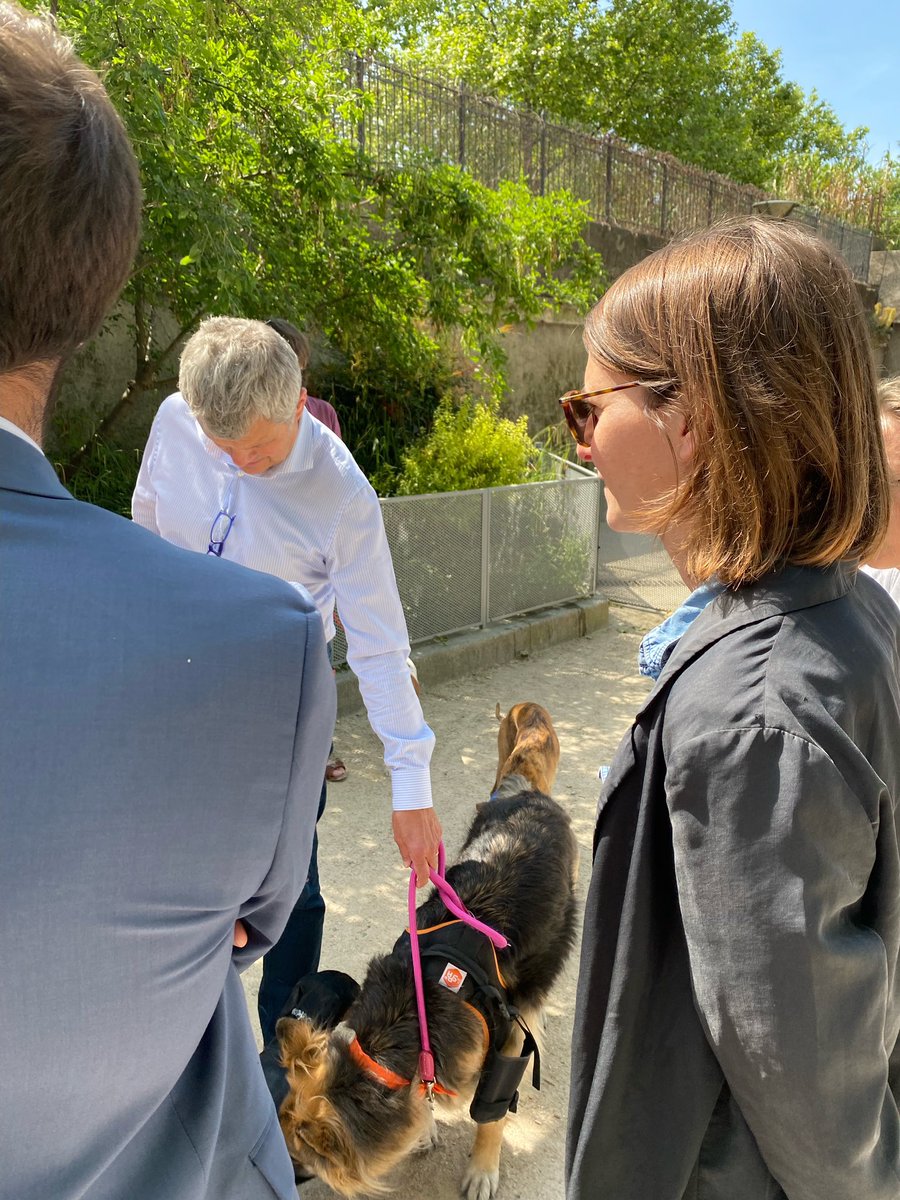 MarineRosset's tweet photo. Inauguration du caniparc sur les quais Saint Bernard avec @C_Najdovski @MCLemardeley, les élus de #Paris5 et la @spaparis. 

Laisser une place aux animaux, et aux chiens en particulier, en ville est une reconnaissance des liens et des devoirs que nous avons envers eux. https://t.co/RhxgcBHyJR