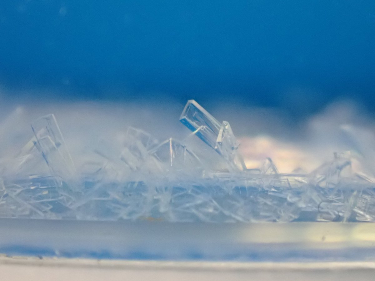 Crystals are growing! Good sign for Monday #RealTimeChem #LabPics