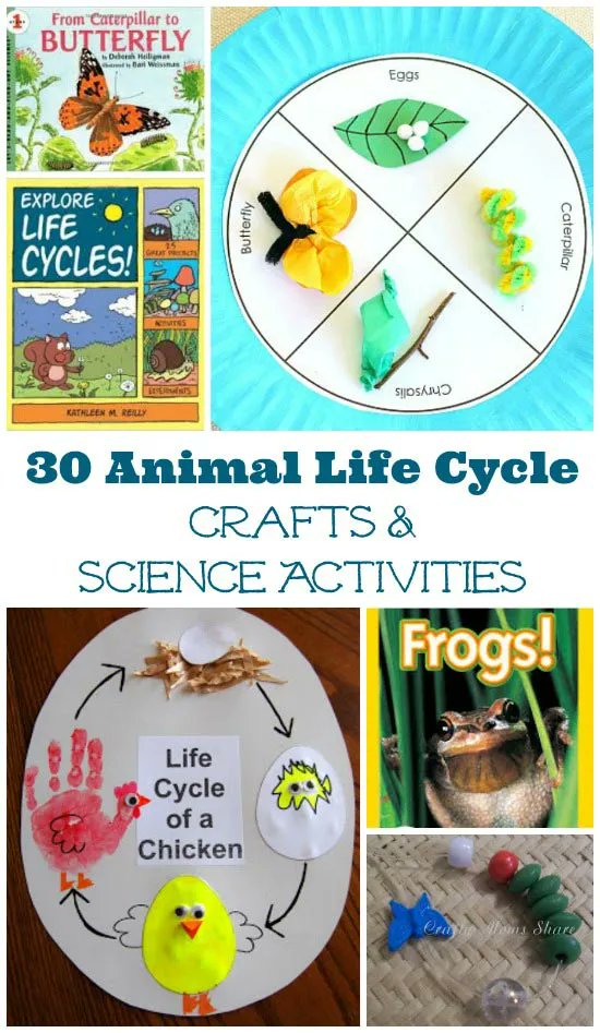KCEdventures's tweet photo. Explore these animal life cycle project ideas and activities that are perfect for preschool and elementary age kids!
https://t.co/CPyermbbja
#science #animallifecycle #springfun https://t.co/XIUwjTwBRB