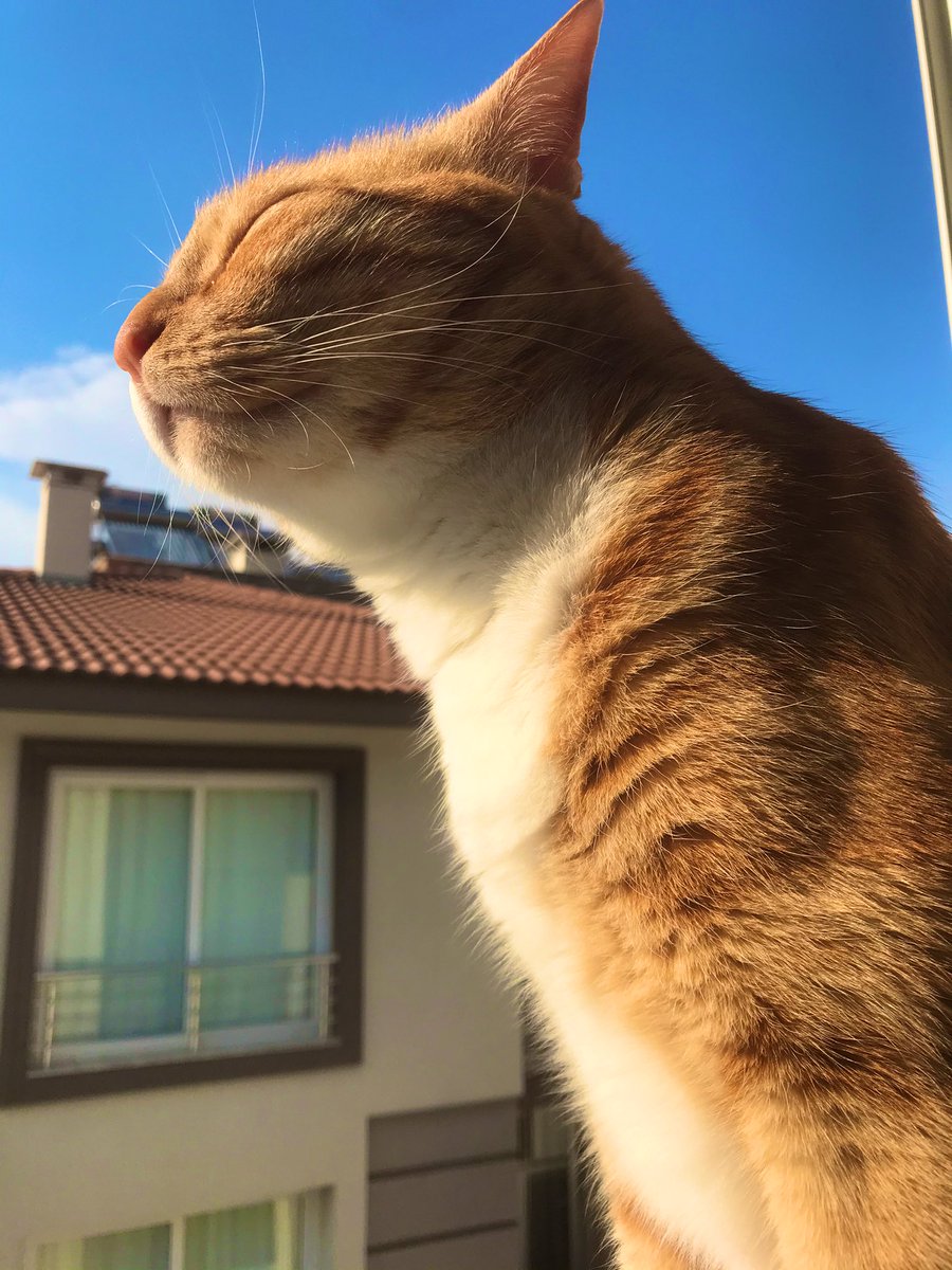 mervesazci's tweet photo. Benim güzel bebeğime bakıınn https://t.co/XfO5K1w5Cf