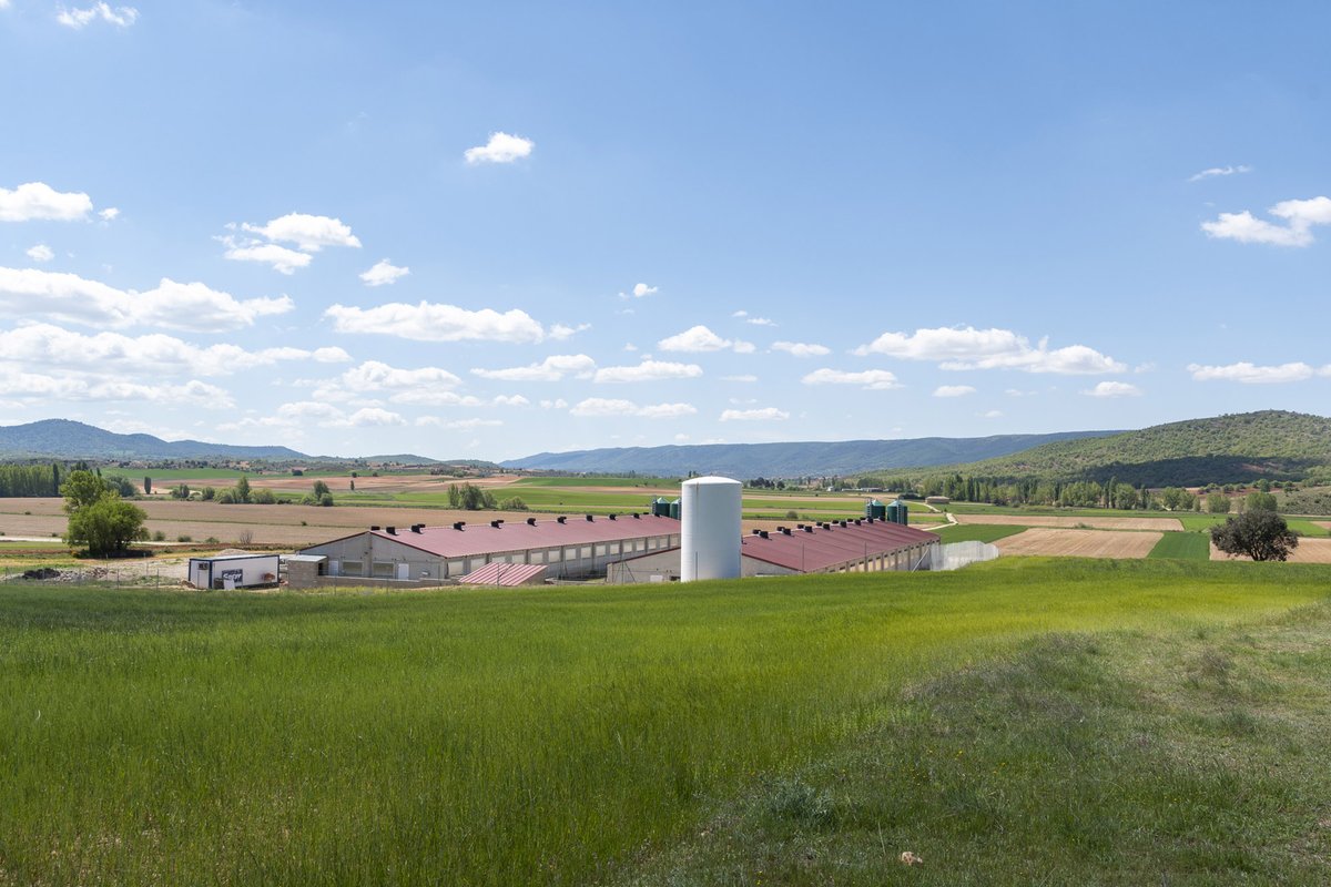 genergea's tweet photo. ICPOR invierte unos 15 millones de euros y genera 150 empleos en el medio rural en 2021 https://t.co/69jR13VvAg @AgronewsCyL https://t.co/Lz8K5uGiVP