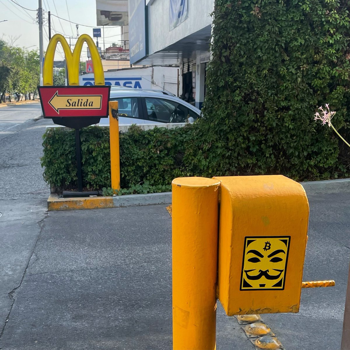 InBitcoinTrust's tweet photo. GM IN #BITCOIN WE TRUST
Satoshi sees 👀
•
•
#inbitcoinwetrust #bitcoingm #bitcoinart #bettermoney #satoshinakamoto #nftart #nftartist #satoshisees #bitcoinmexico #bitcoinguadalajara https://t.co/30dHwfELEt