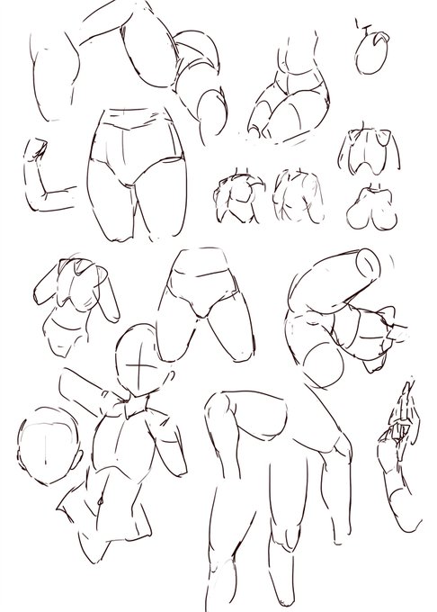 練習11日目
脳内の人体 