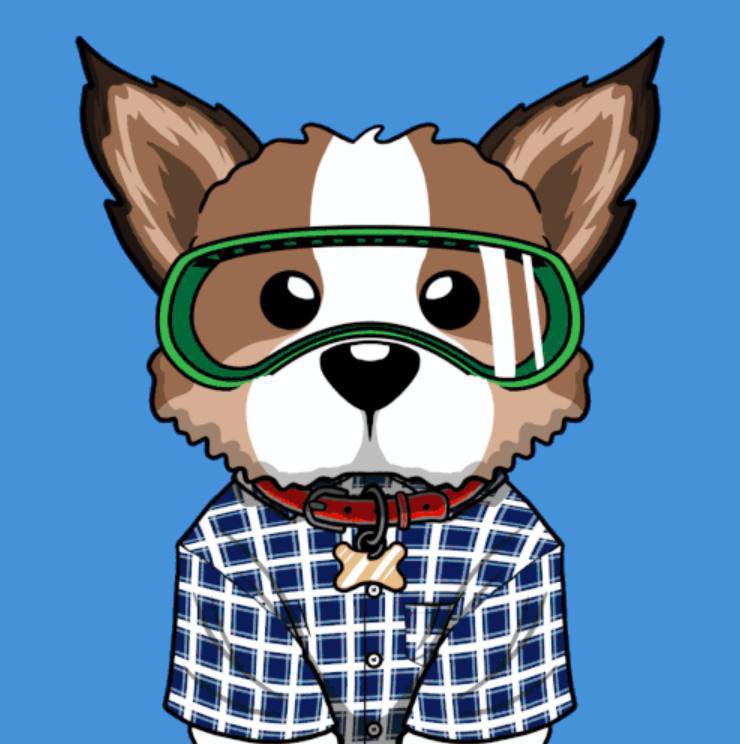0xSevini's tweet photo. 🎉 #NFTGiveaway 🎉 

x15 WL Spots for @drsniffynft 🔥 

To Win 👇

1️⃣ Like &amp; RT
2️⃣ Follow @0xSevini &amp; @drsniffynft 
3️⃣ Tag 3 friends
4⃣ Join Discord: https://t.co/XS3nbGdMrw

Ends in 24 hours ⏰ 

#NFTCommunity #NFTGiveaways #NFT #ad https://t.co/0XQWKwAta8