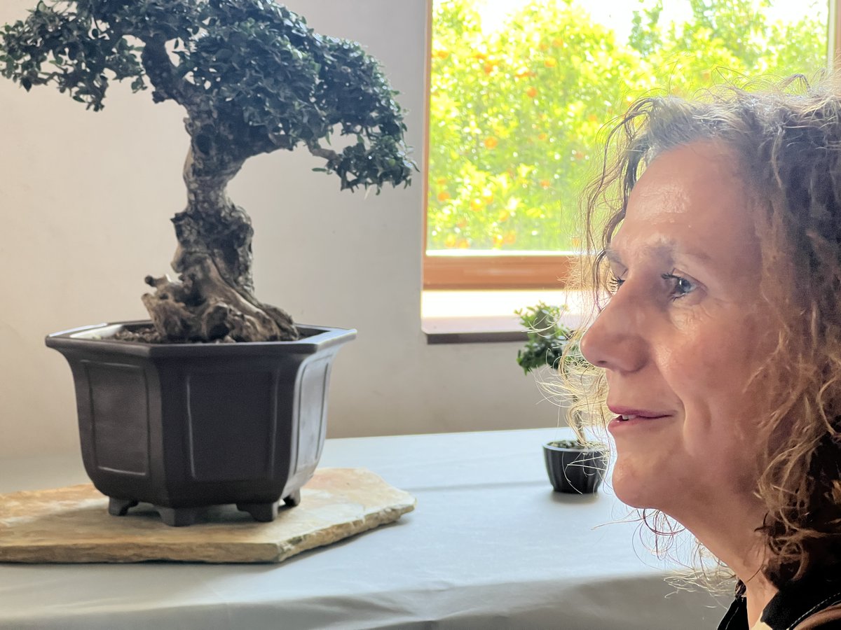 CsBadajoz's tweet photo. 🍊 Ayer nuestra concejala de RRHH, #HitosMogena, asistió a la inauguración de la exposición organizada por la Asociación Pacense de Bonsáis en el edificio de #LaGalera.

👉🏼 La exposición se puede contemplar hasta el 15 de mayo. El horario de visita es de 10h a 14h y de 17h a 20h. https://t.co/2tEhPW5VF8