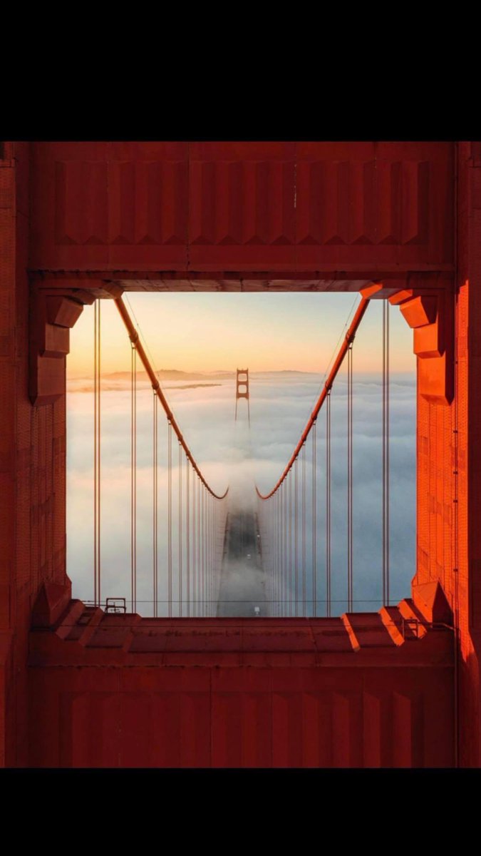 GM. Today’s view…May your day be golden through any fog.