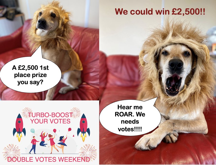 Dogs4Rescue's tweet photo. Pls vote for us to win a grant from @MyGivingCircle 🙏🙏 It’s free to vote &amp; only takes a minute and Stuart has got his businessdog eye on the £2,500 1st prize. We’re currently in 3rd place &amp; it’s double votes this weekend 💜
https://t.co/YLK9vsuzLa https://t.co/kBF9KxgQJz