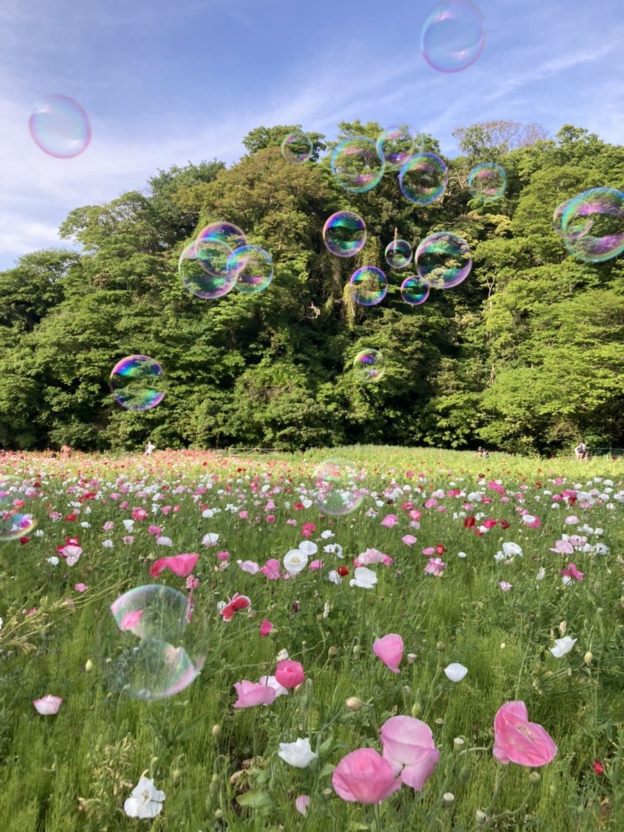 篠原真 tweet media