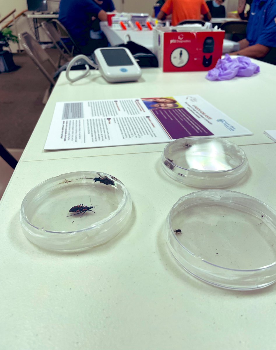 NormanBeattyMD's tweet photo. Latin American health fair with our partners Equal Access Clinic and Children Beyond Our Borders! Screening #chagas #diabetes #screen4chagas Brought live kissing bugs! @UFMedicine @TheRealJohnDiaz @CAFE_UFIFAS helping with the event! @DNDi @MundoSano @ChagasBoston @chagasdoc https://t.co/NvoQrupOkE