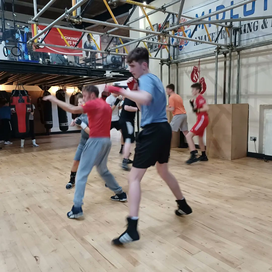 Midlothian Boxing tweet media